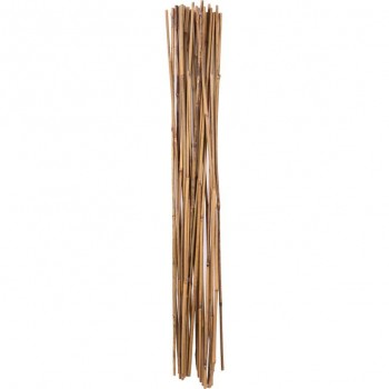 Holland greenhouse 4 ft. x 6-8 mm Bamboo Stakes - 25 pieces